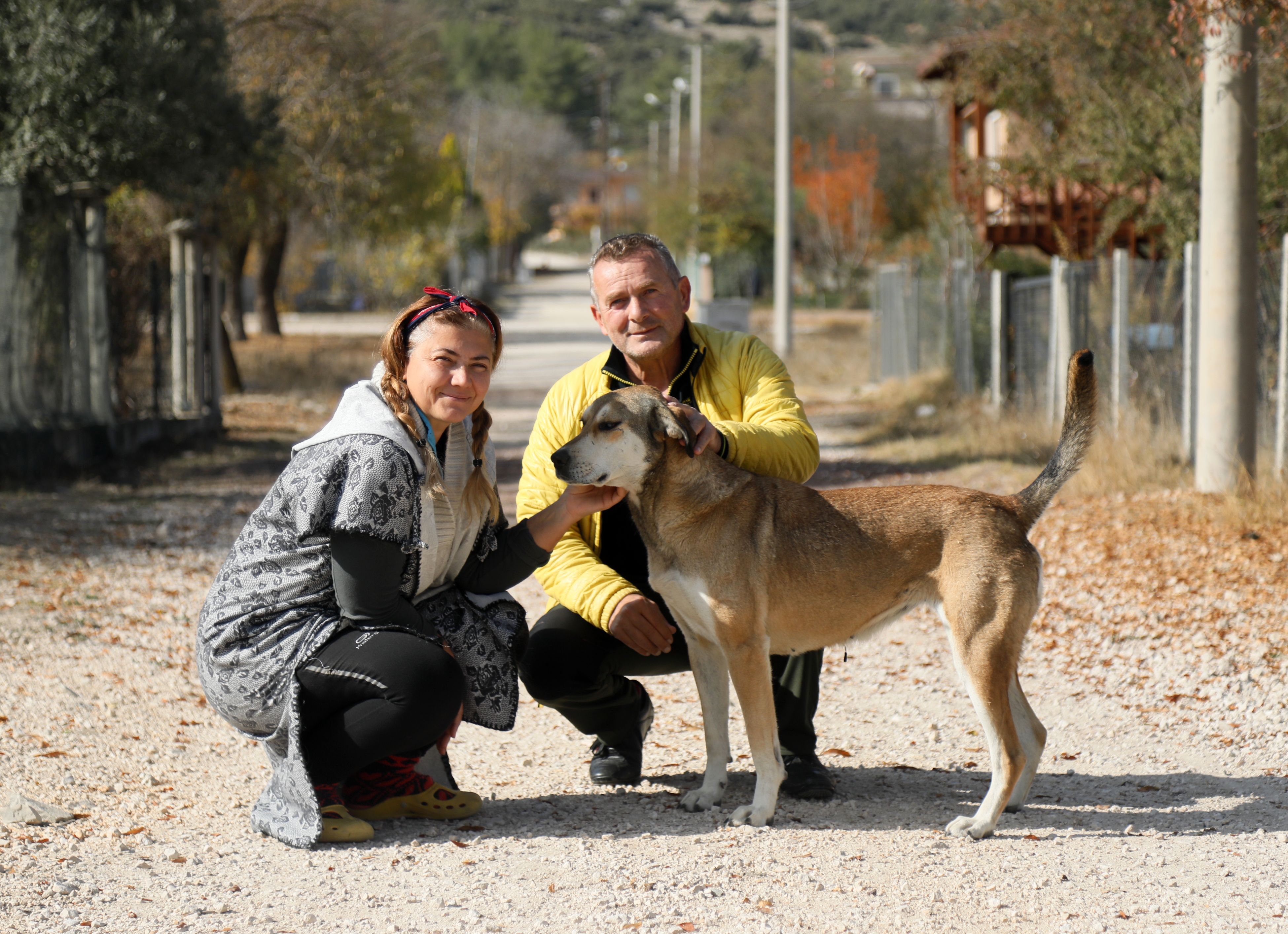 Tüfekle komşusunun beslediği yavru köpeği öldürdü