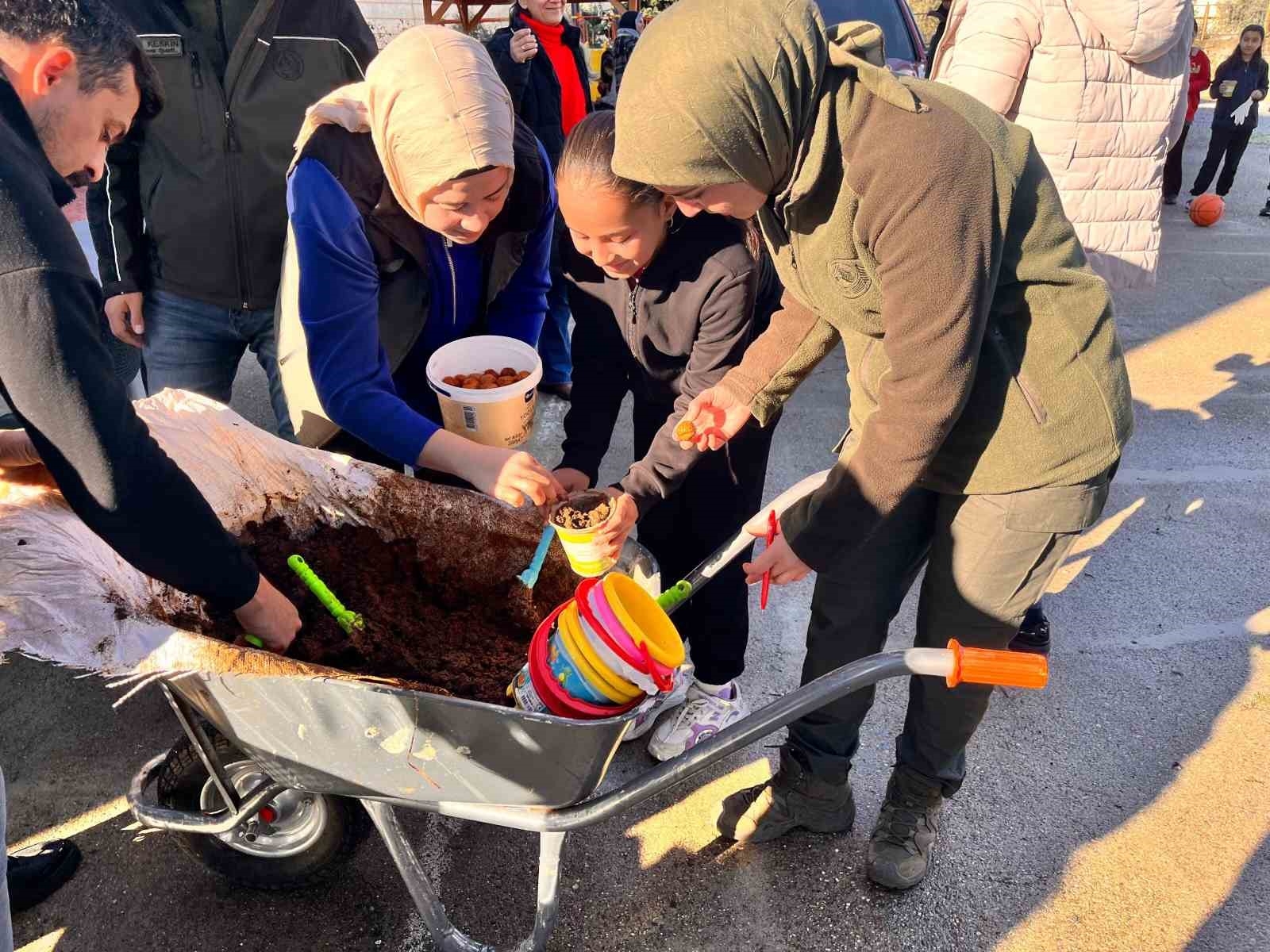 Anamur'da ceviz tohumları toprakla buluşturuldu