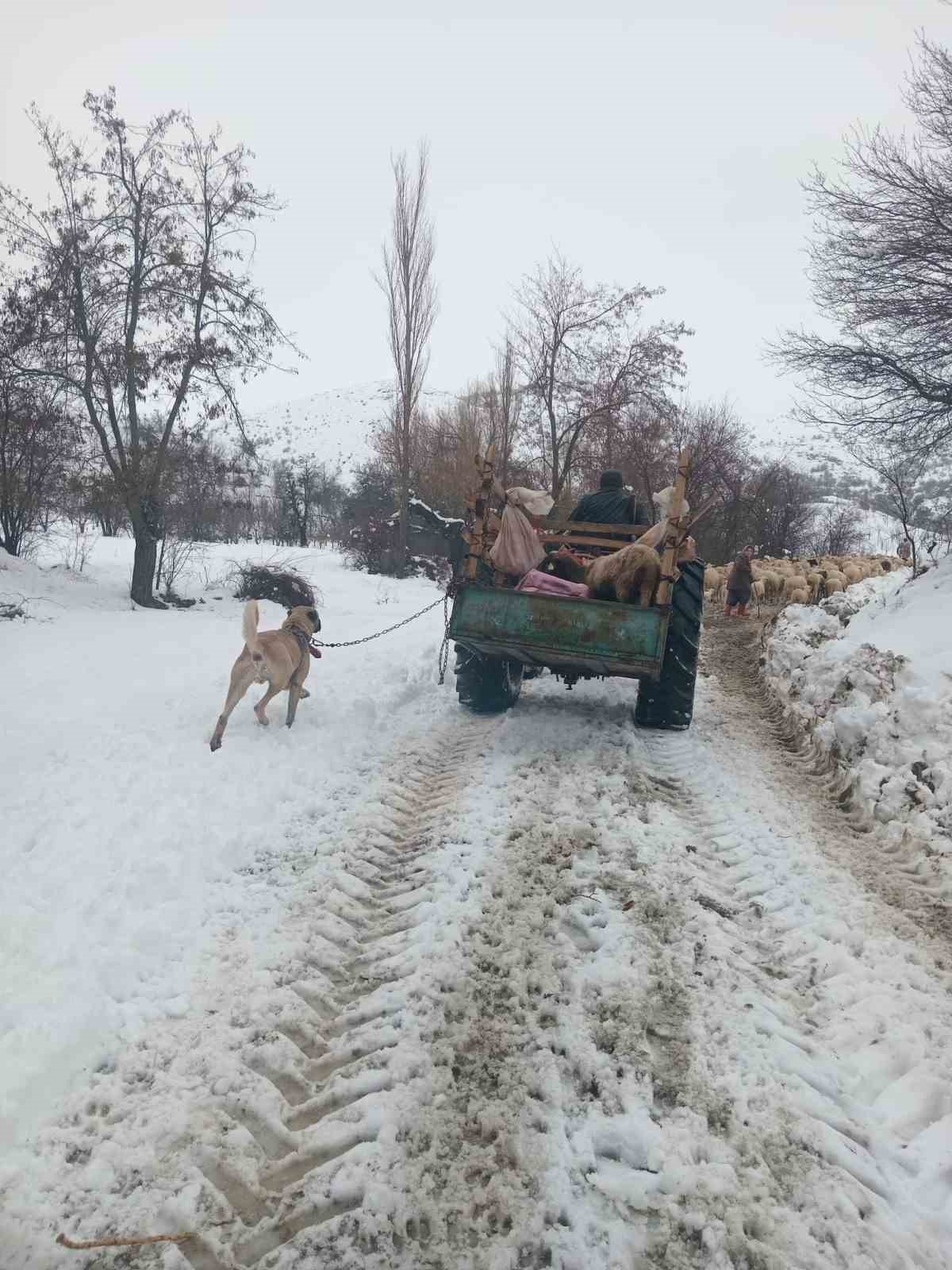 Burdur'da sürüsüyle birlikte mahsur kalan çoban kurtarıldı