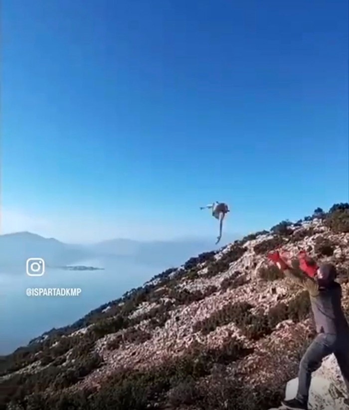 Isparta'da yaralı halde bulunan kızıl şahin tedavi edilip doğaya salındı