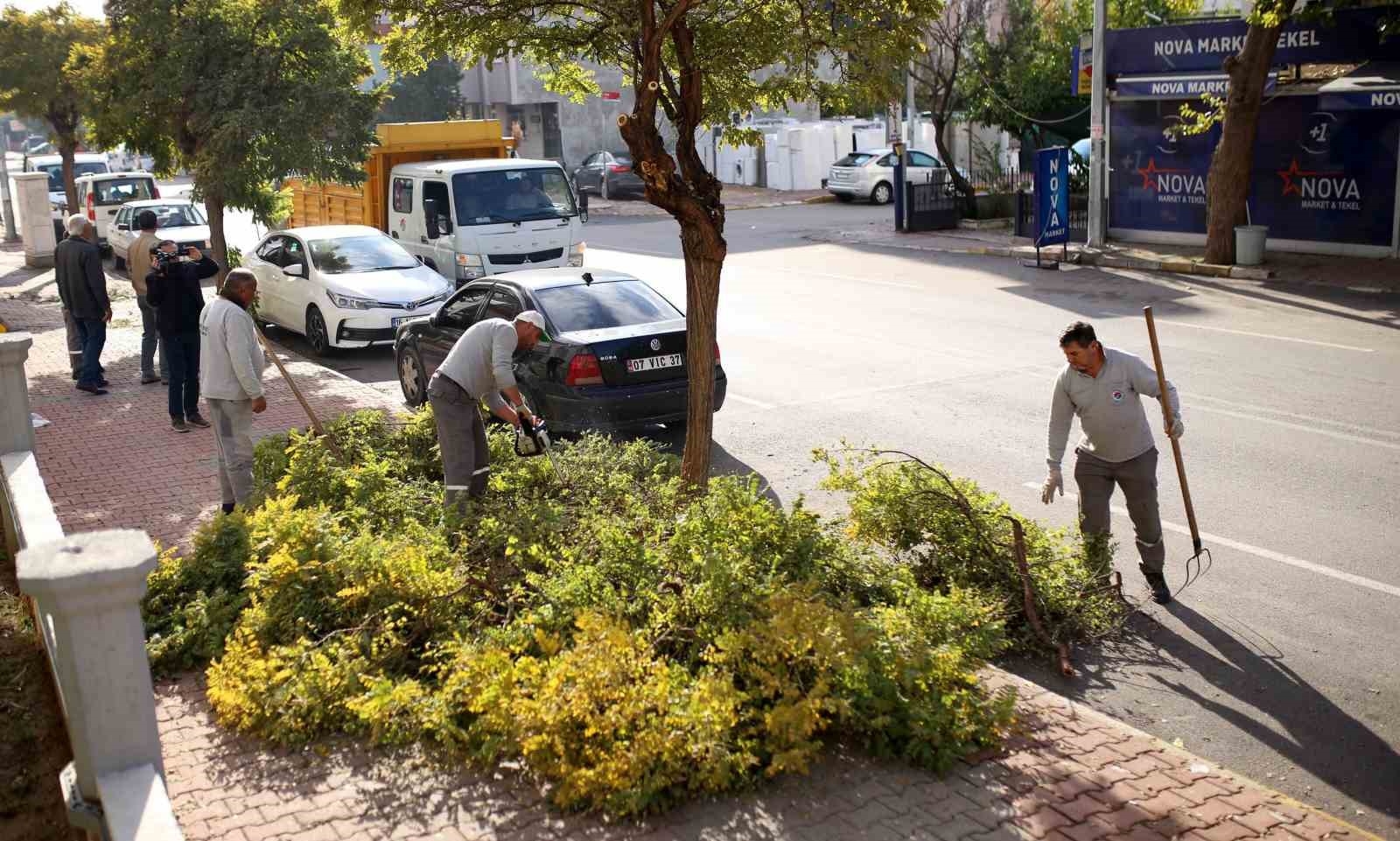 Kepez'de ağaçları kış ve bahar mevsimine hazırlanıyor