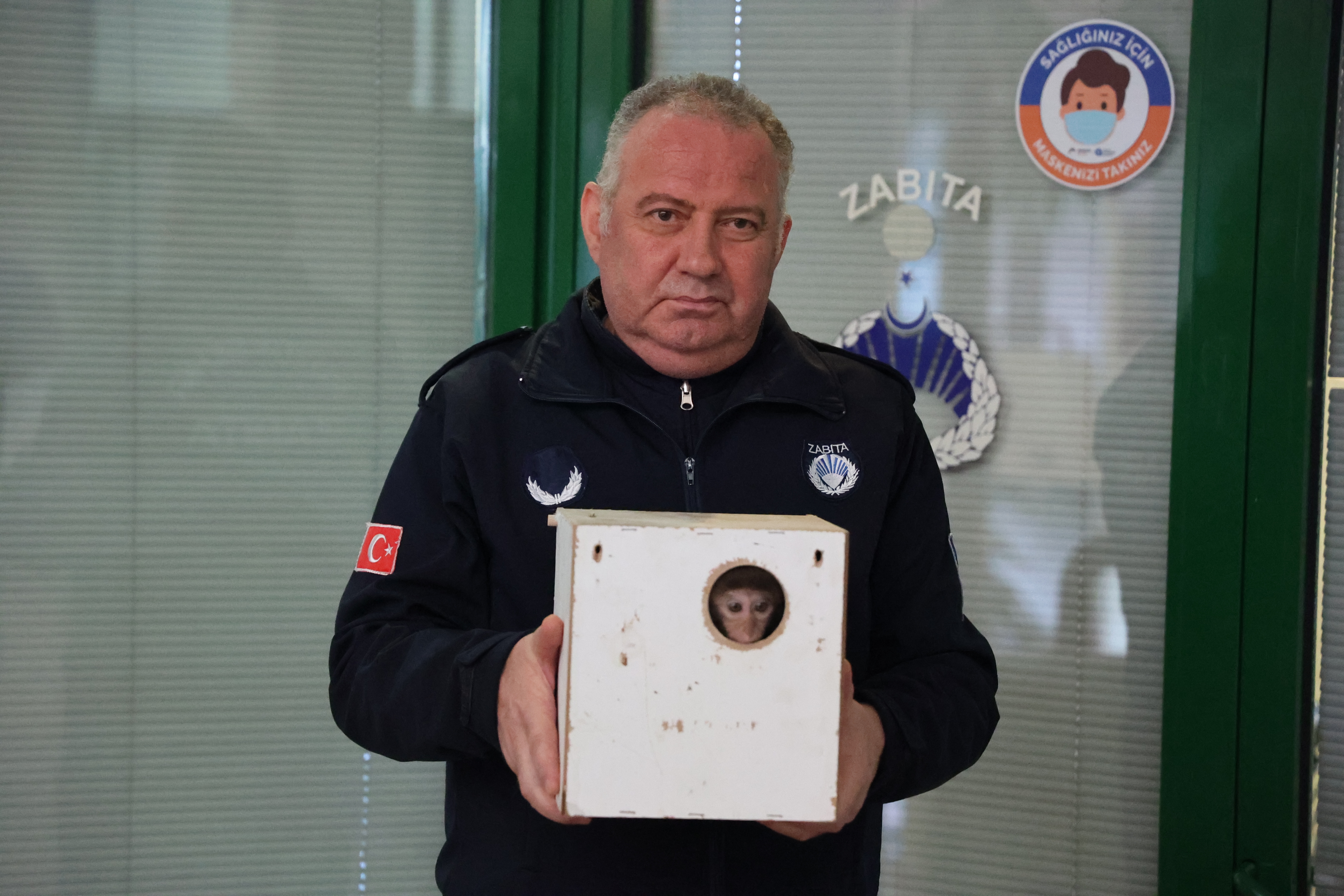 Koliden maymun çıktı