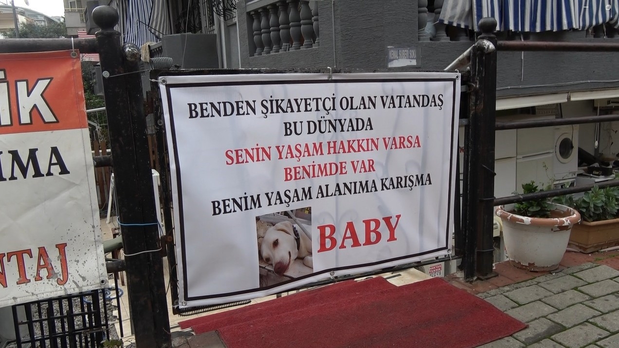 Komşuların rahatsız olduğu labrador cinsi köpek için sahibinden pankartlı tepki
