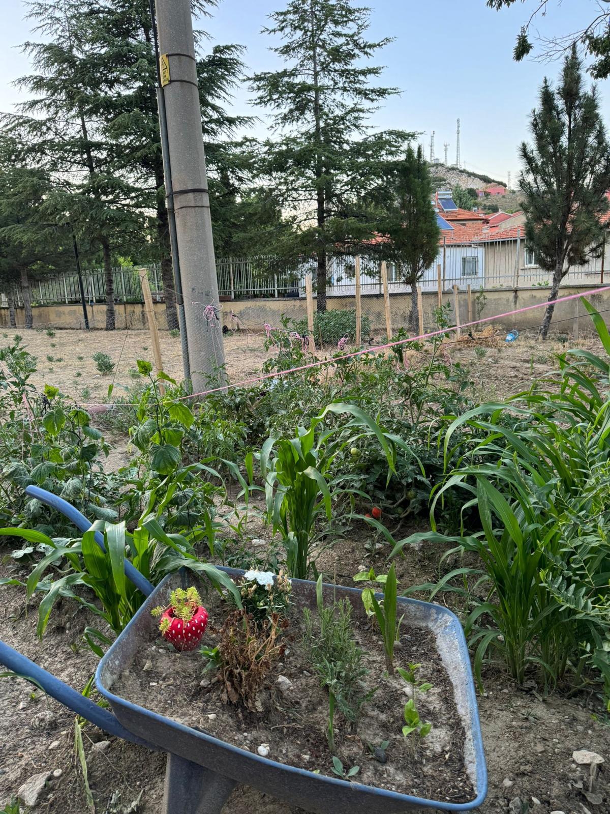 Yağmur suyunu depolayıp, tarımsal sulamada kullanıyorlar