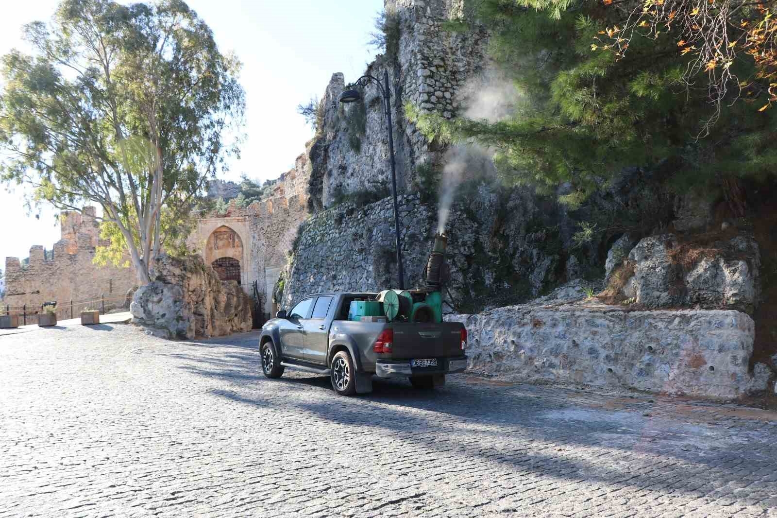 Alanya Belediyesi çam kese böceğine önlem aldı