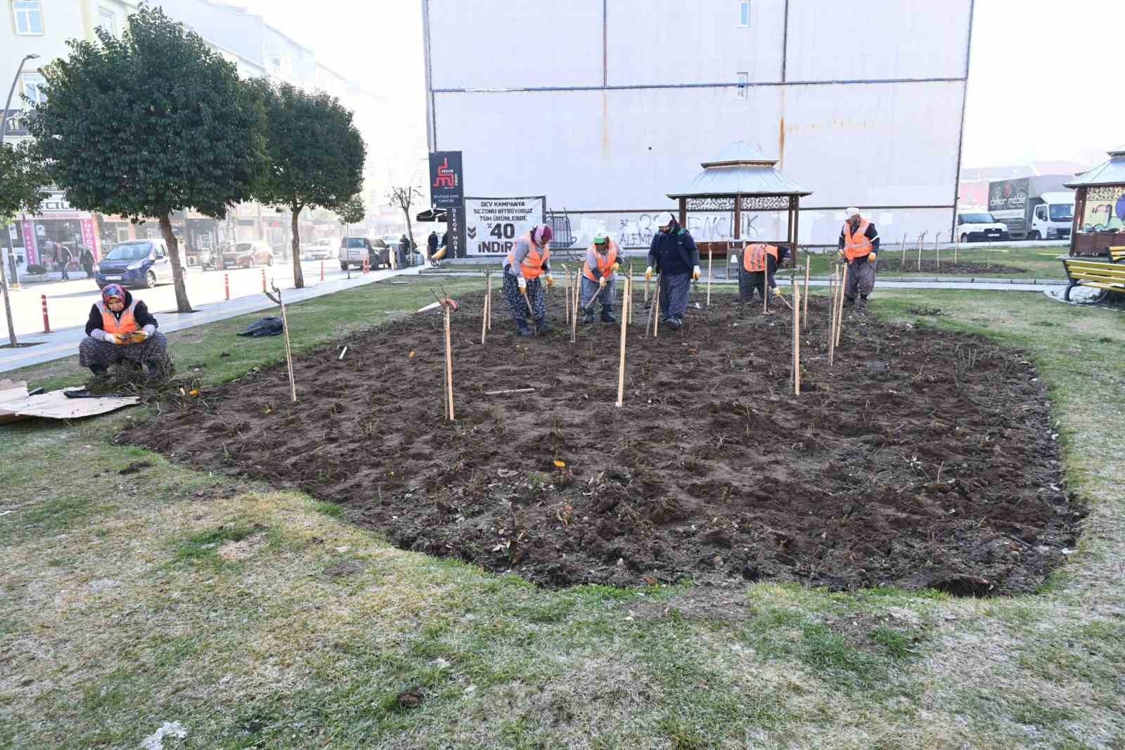 Isparta Belediyesi'nden Gölcük Tabiat Parkı'na destek: 10 bin akasya fidanı dikiliyor