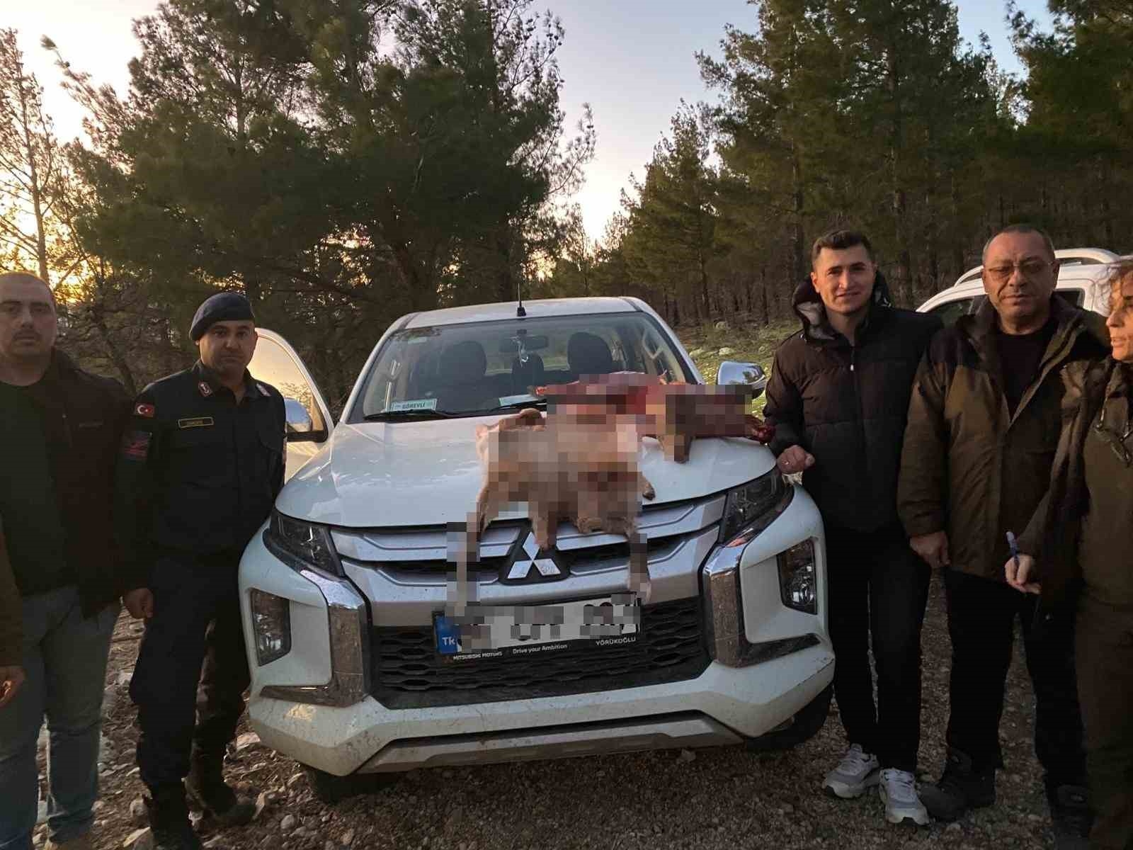 Mersin'de Yaban Keçisi Avlayan 2 Şahsa 673 bin TL Ceza Kesildi