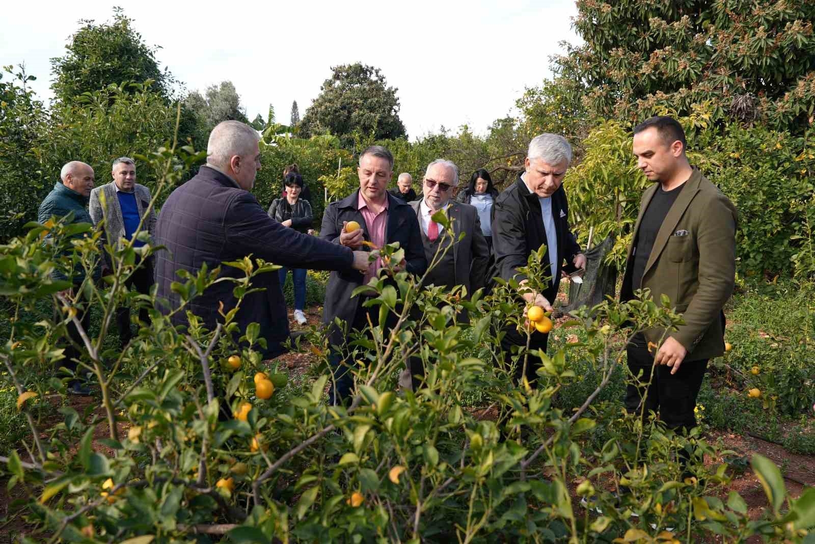 Romanya'nın Braila Belediye Başkanı Dragomir, Erdemli'ye hayran kaldı
