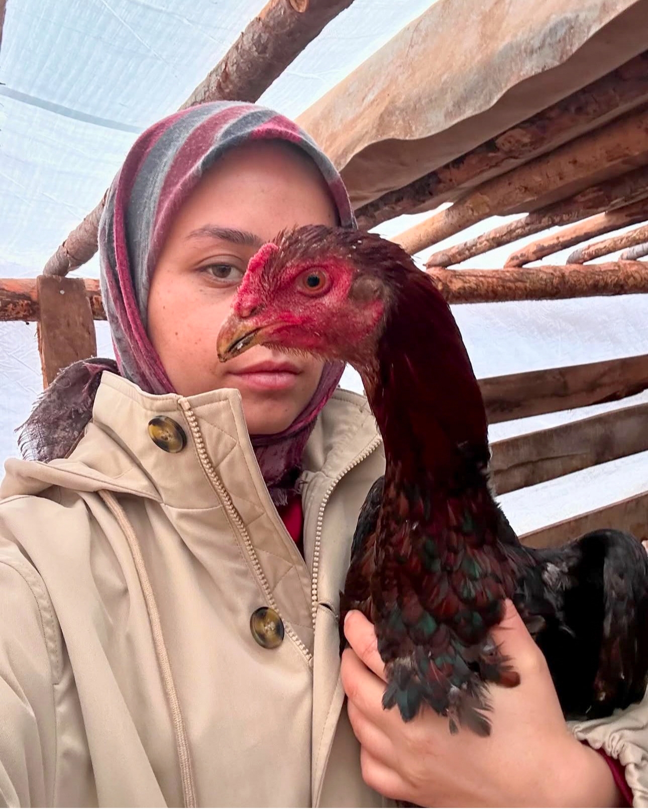 Sosyal medya fenomenleri, delbek ustaları Yörük çalıştayında