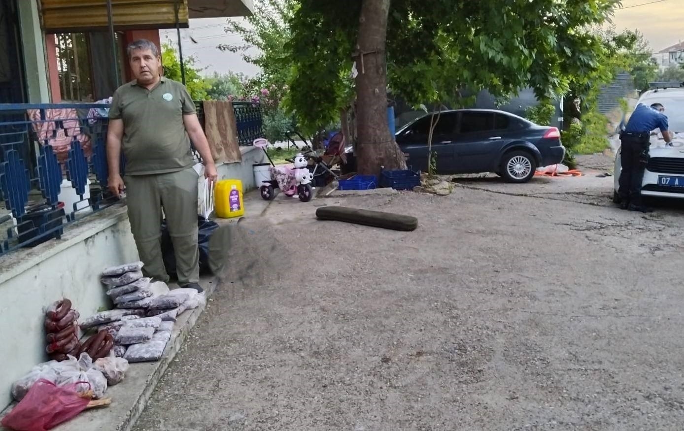 Antalya'da yasa dışı avlanan 48 kilo yaban keçisi ve kızıl geyik eti buzdolabında bulundu