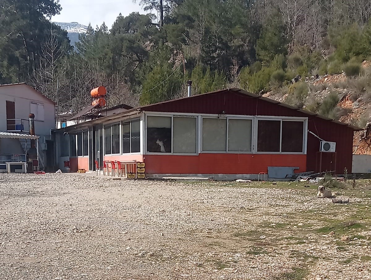 Hesap Kavgasında Garson Ekrem'in Ölümüne 3 Tutuklama