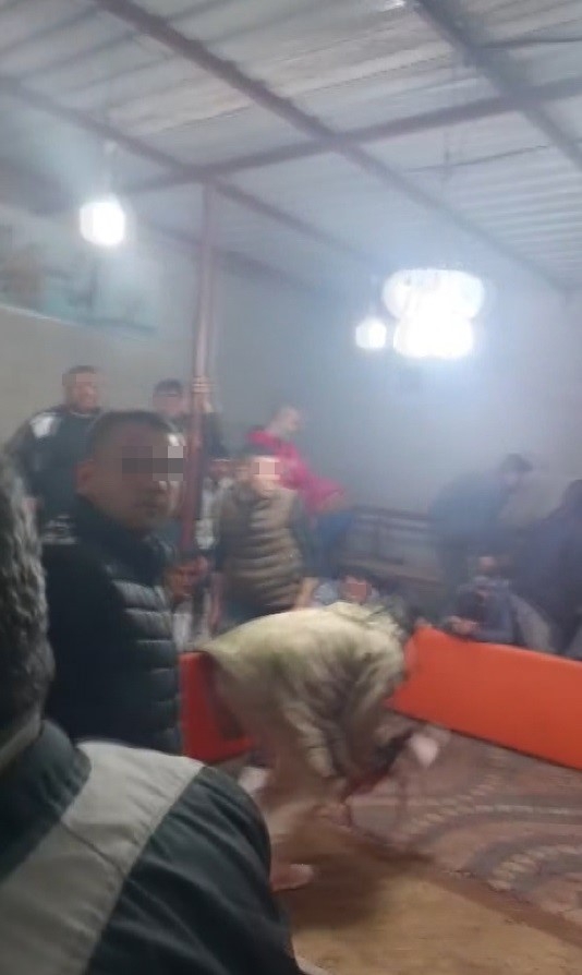 Mersin'de horoz dövüşü yapılan adrese baskın: 14 gözaltı