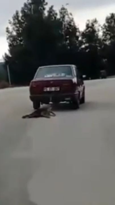 Otomobilin arkasına bağladığı köpeği sürükledi, gözaltına alındı