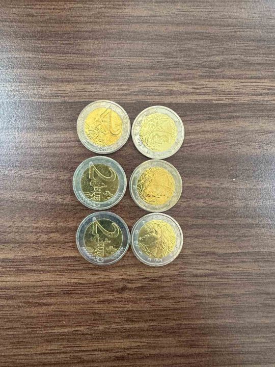 Piyasa değeri 430 bin TL: Sahte 5 bin adet madeni 2 euro ele geçirildi