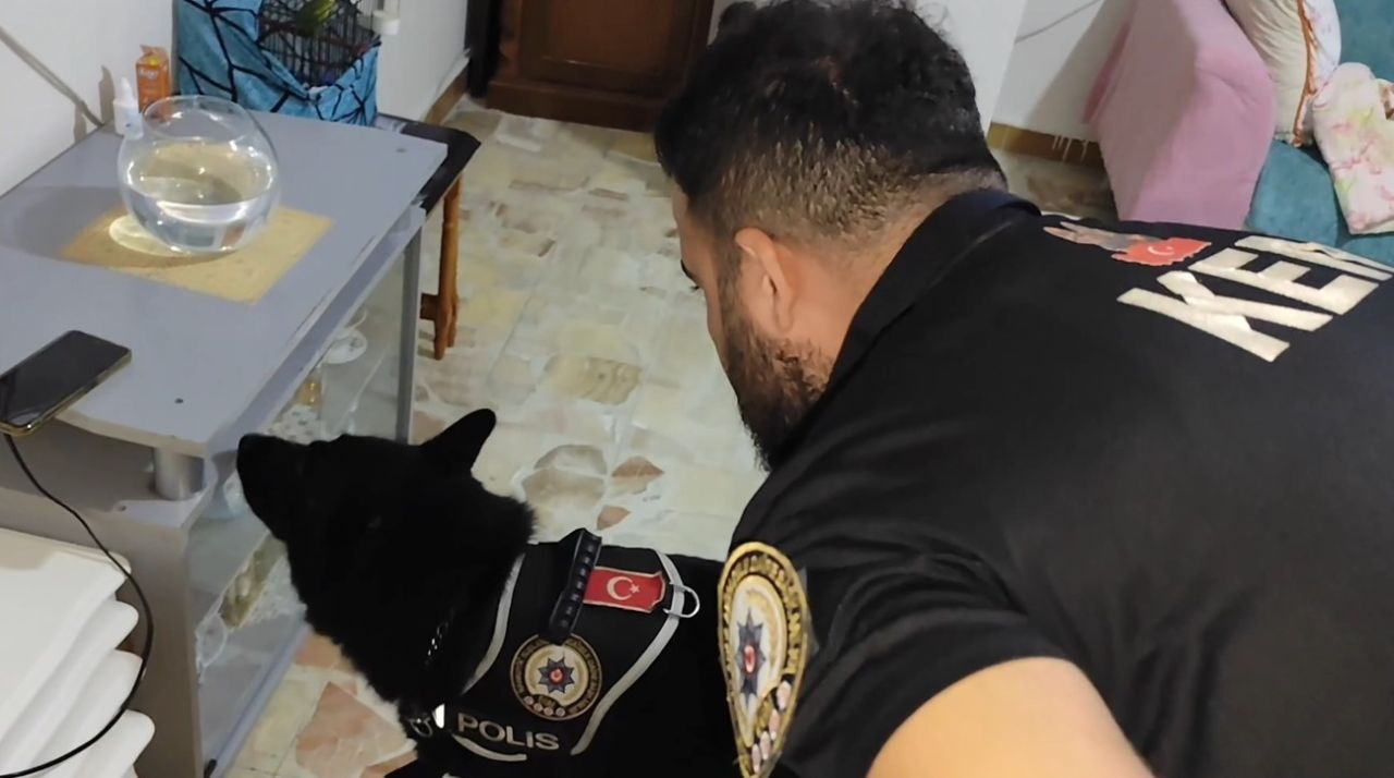 Bakan Yerlikaya açıklamıştı: O operasyonda 351 şüpheli tutuklandı