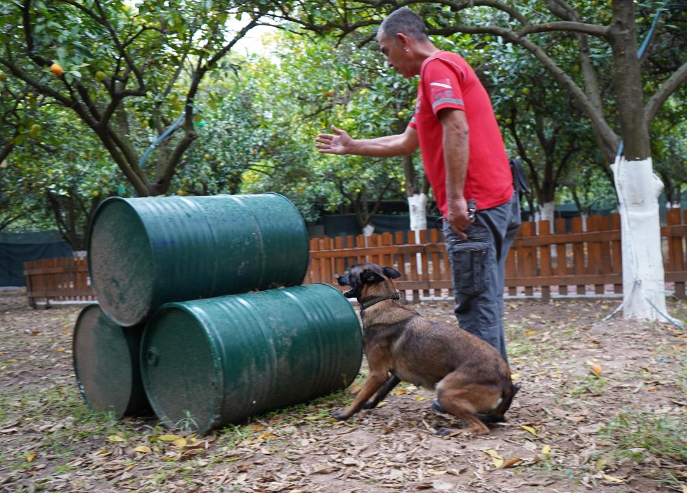 Antalya'nın ilk enkazda canlı arama sertifikalı köpeği 'Tina' oldu