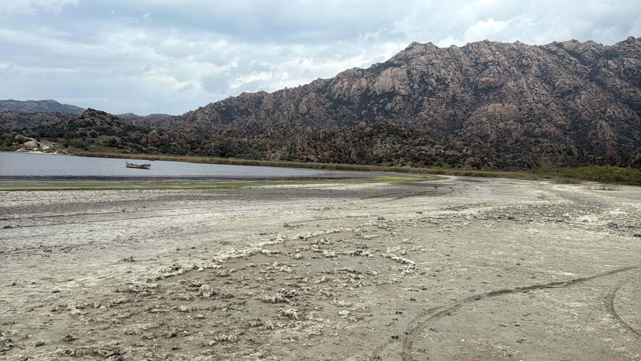 Suyu 50 metre çekilen Bafa Gölü'ne Büyük Menderes Nehri hayat verecek