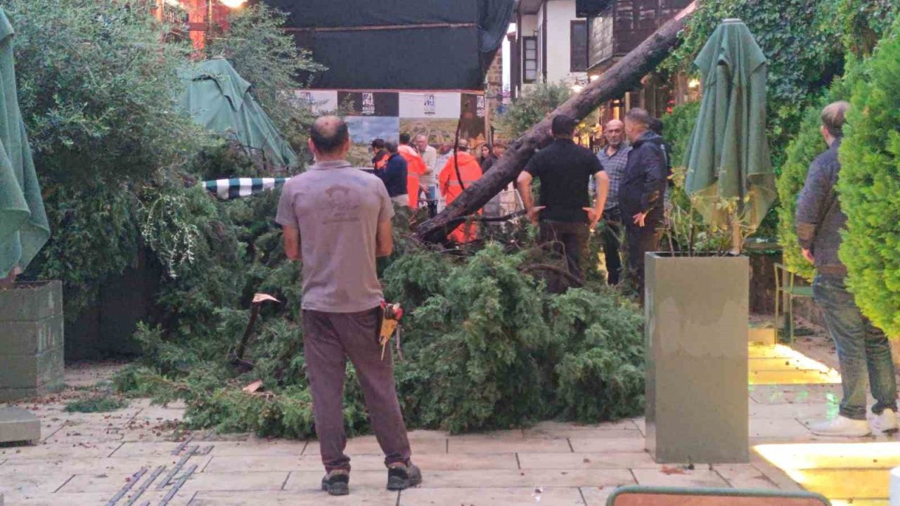 Antalya'da etkili olan sağanak yağış nedeniyle devrilen ağacın altında 3 kişi kaldı
