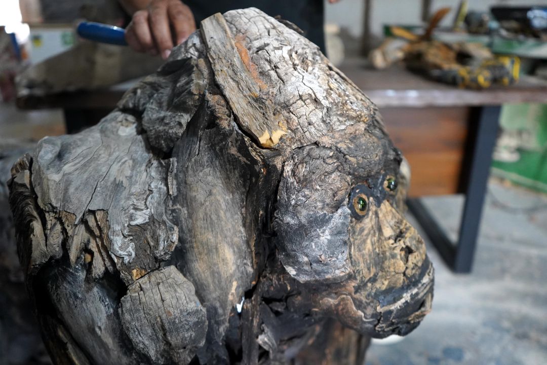 Doğanın atıklarını sanata dönüştürüyor