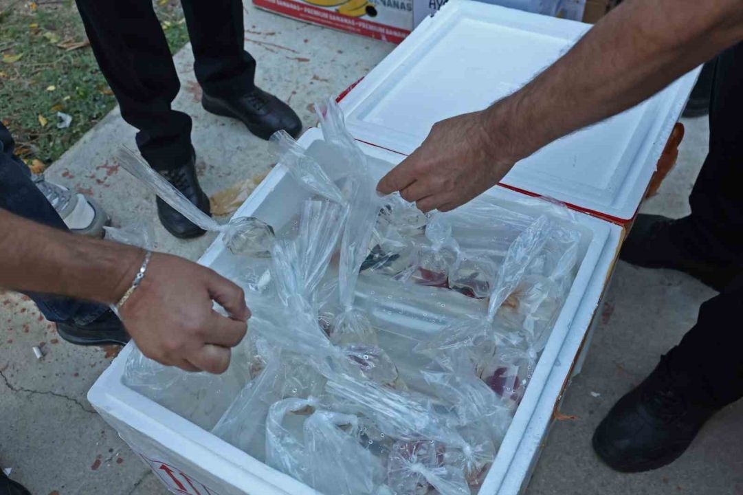 Otogarda kaçak balık ve canlı hayvan operasyonu
