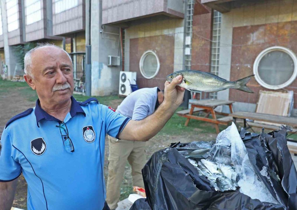 Otogarda kaçak balık ve canlı hayvan operasyonu