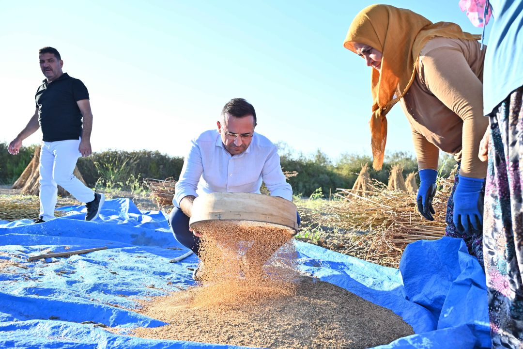 'Manavgat susamı yurt dışında da büyük ilgi görüyor'
