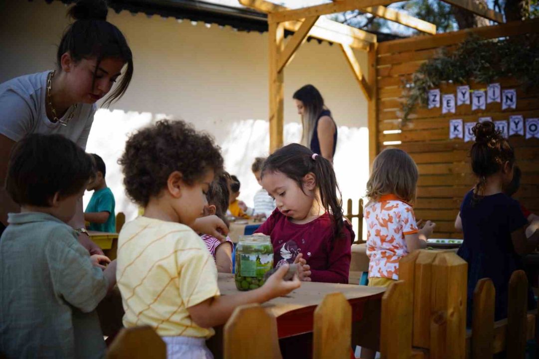 Ekiplerin topladığı zeytinleri minikler işledi