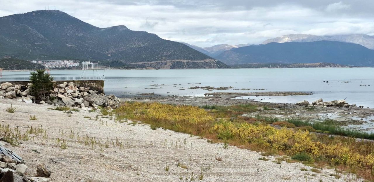 Suyu çekilince ikiye bölünen Eğirdir Gölü, hayvanların otlağı oldu