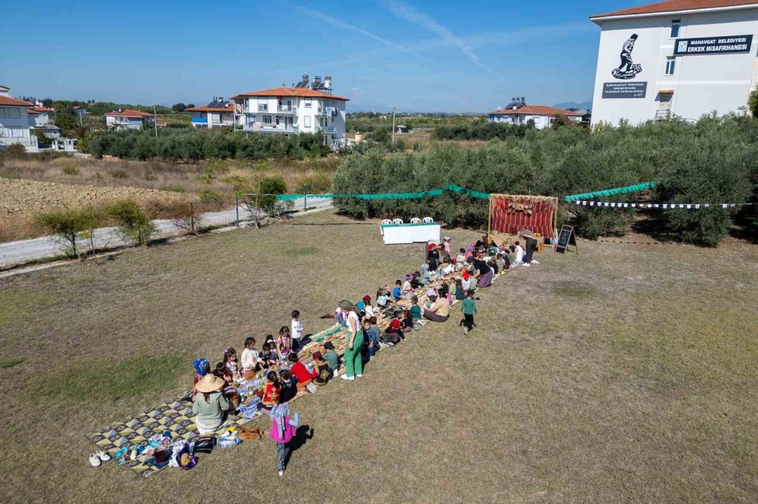 Manavgat’ta minik ellerden zeytin hasadı