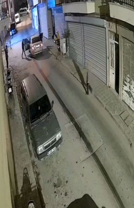 Muğla’da otomobilin altında sürüklenen oklu kirpi öldü