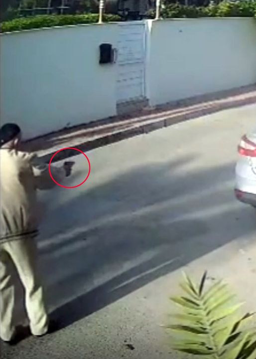 Havladığı gerekçesiyle köpeği vurup öldüren emekli polis hakkında 'yakalama' emri