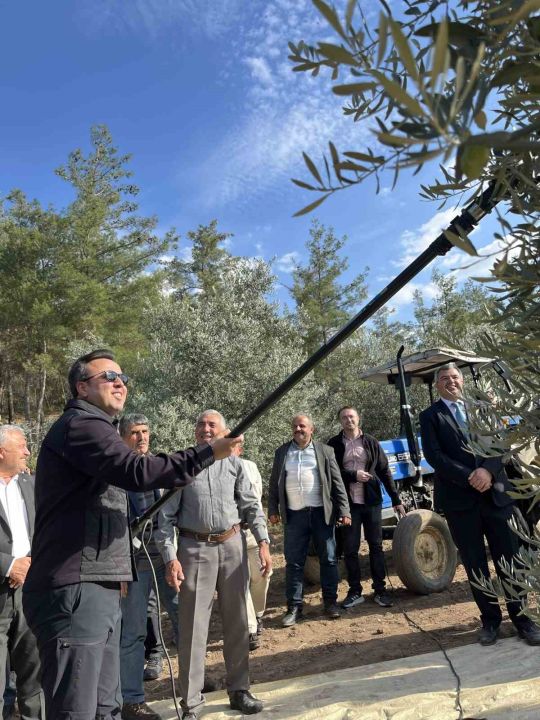 4 bin yıllık Hyllarima Antik Kentinde hasat zamanı