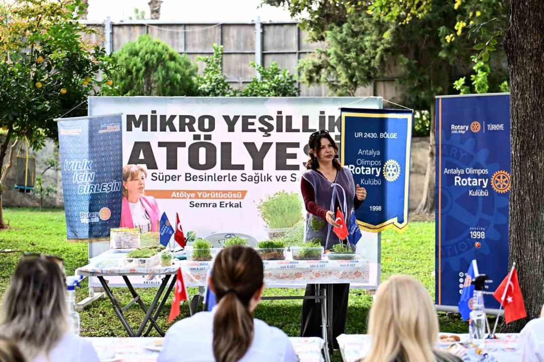 Mikro yeşilliklerle minyatür bahçeler oluşturdular