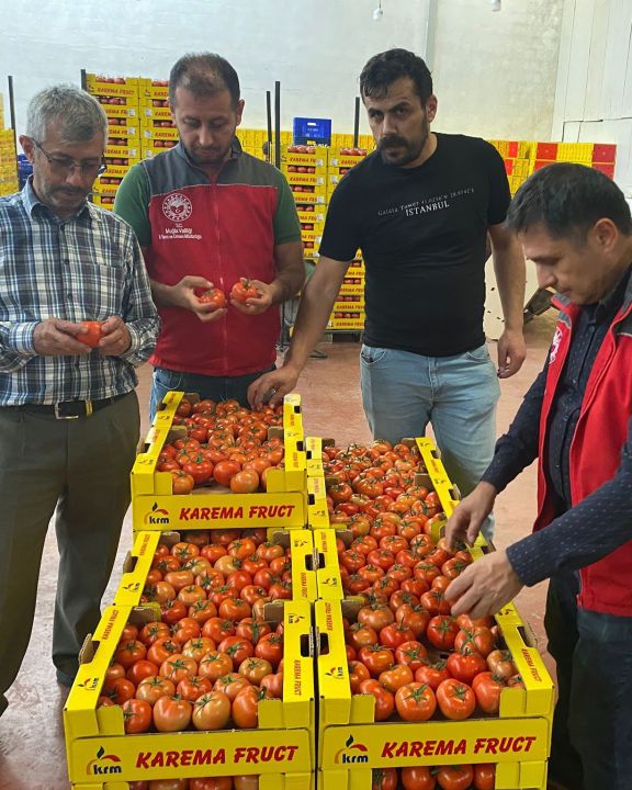 Ortaca’da ihracata giden ürünlere onay