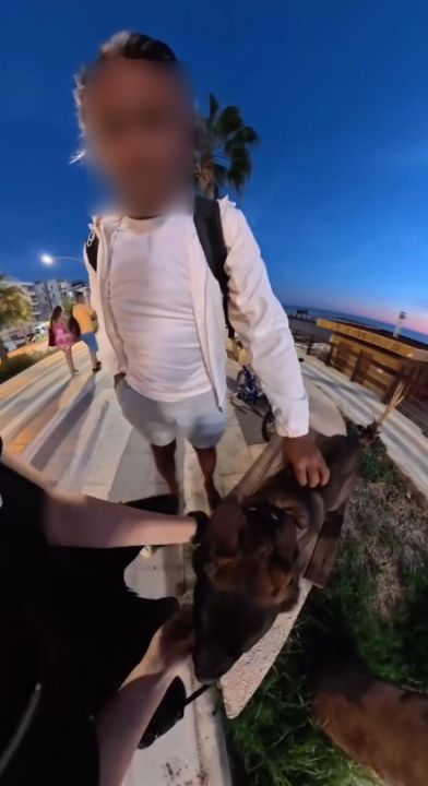 Bankta köpeğiyle oturan yerleşik yabancı kız çocuğu hayatının şokunu yaşadı