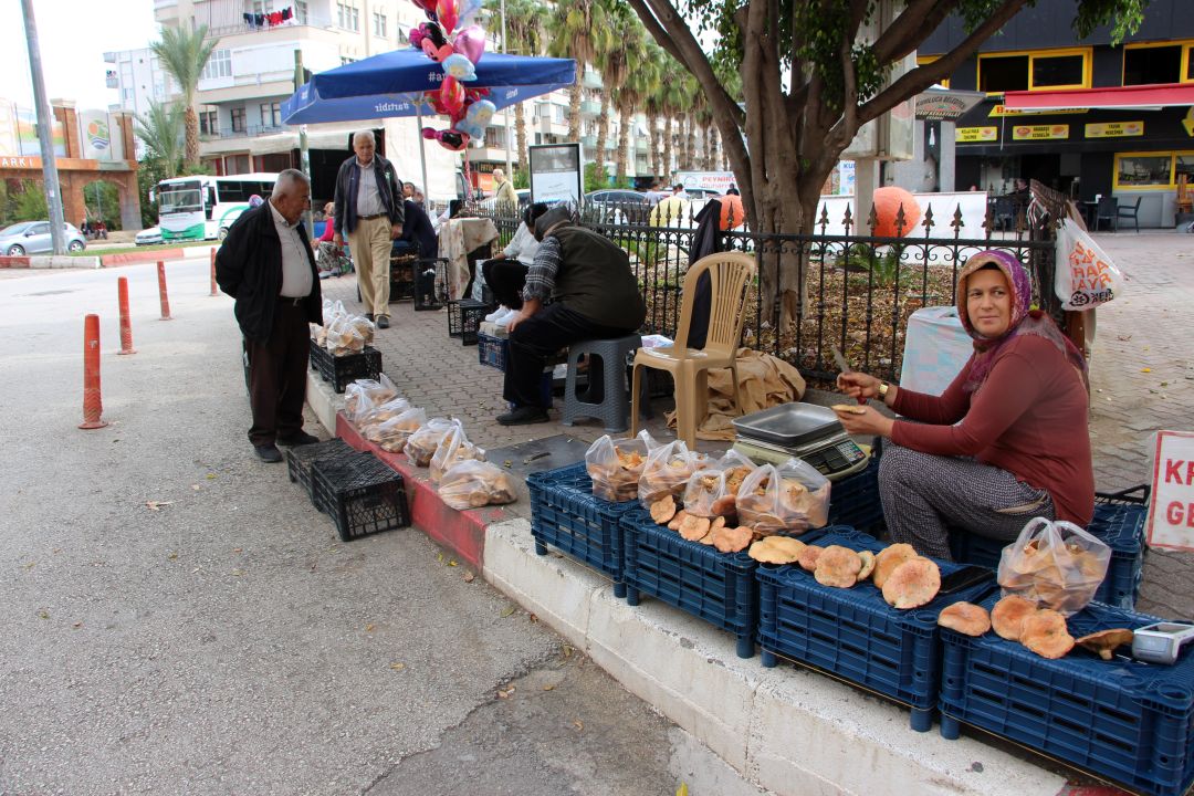 Mantar geçim kaynakları oldu