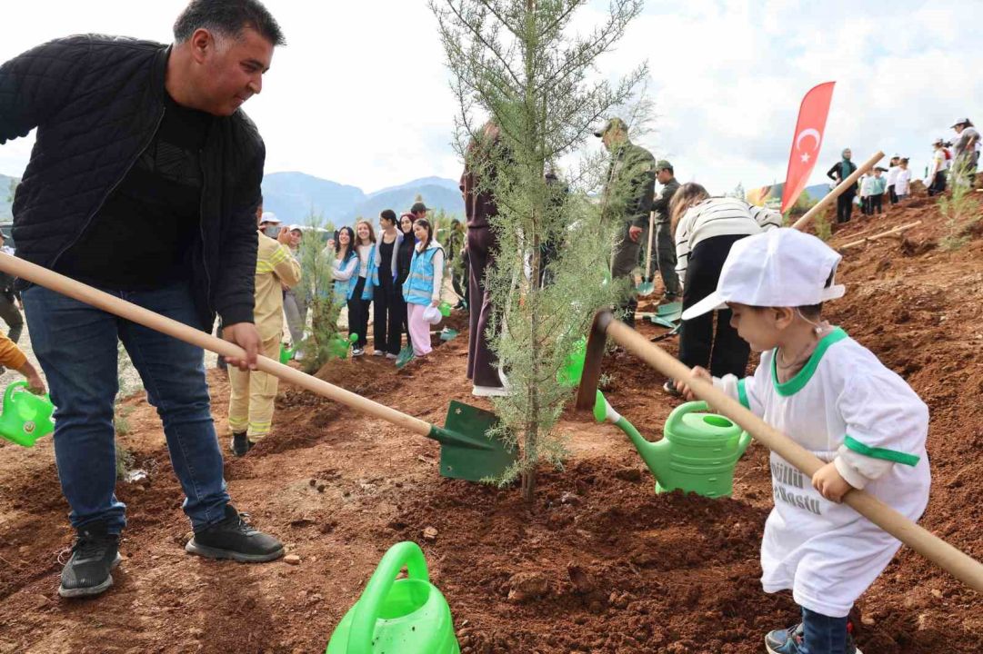 Muğla’da 33 bin fidan toprak ile buluştu