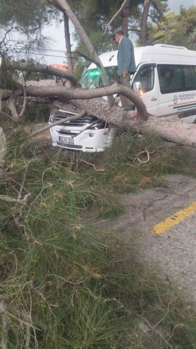 Seyir halindeki minibüsün üstüne ağaç devrildi