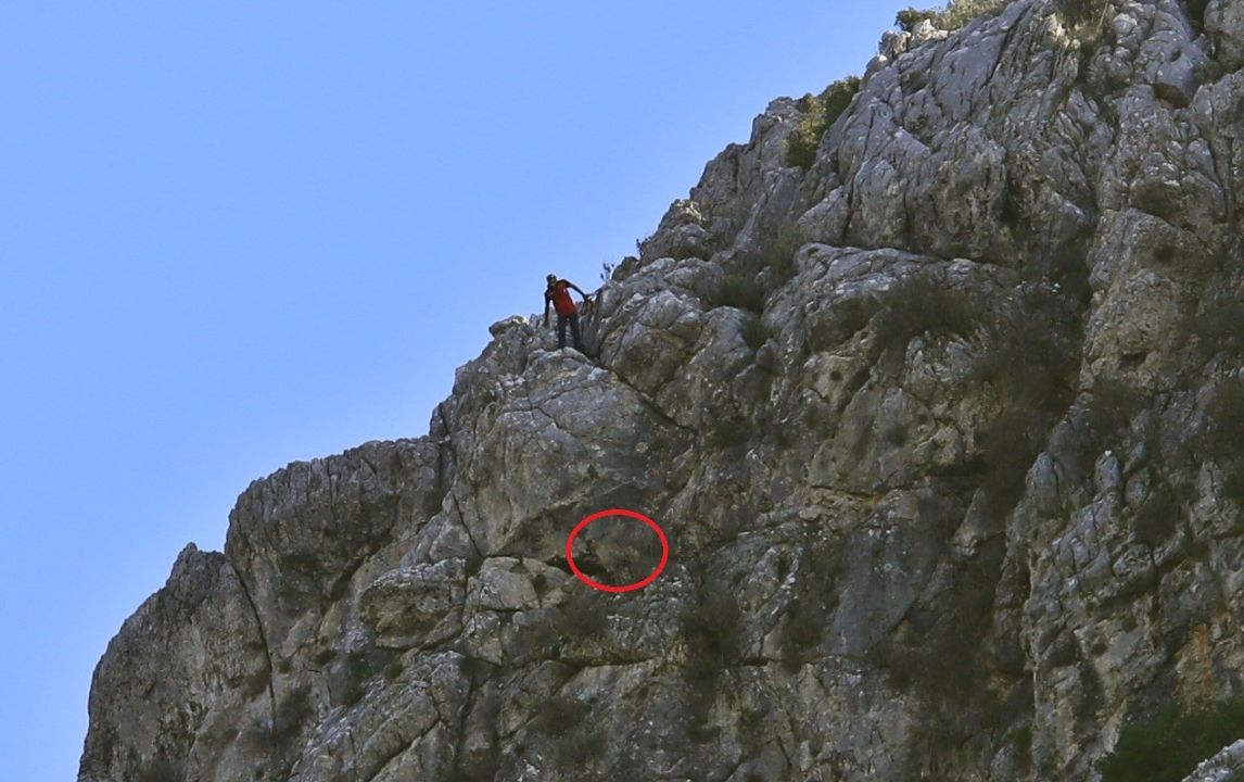 3 keçisini kurtlar yiyen yaşlı adam, mahsur kaldığı uçurumdan kurtarılan son keçisine sarılıp doyasıya öptü