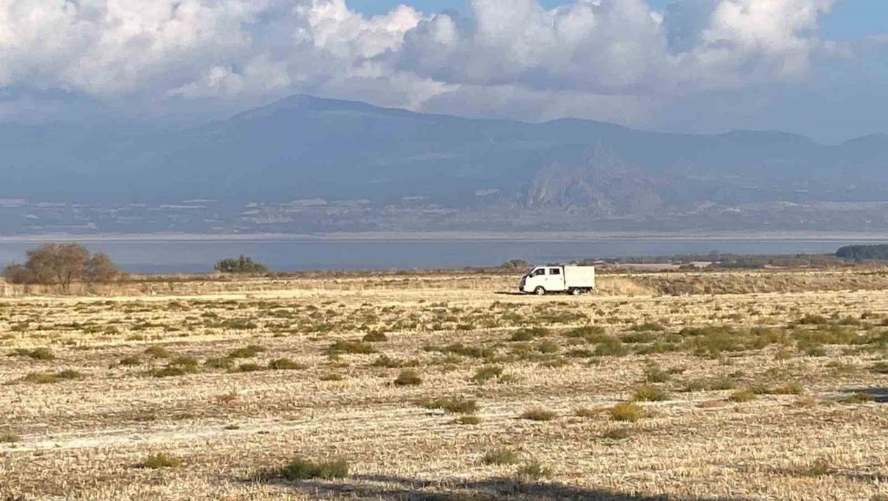 Burdur’da sokak köpekleri küçük kıza dehşeti yaşattı