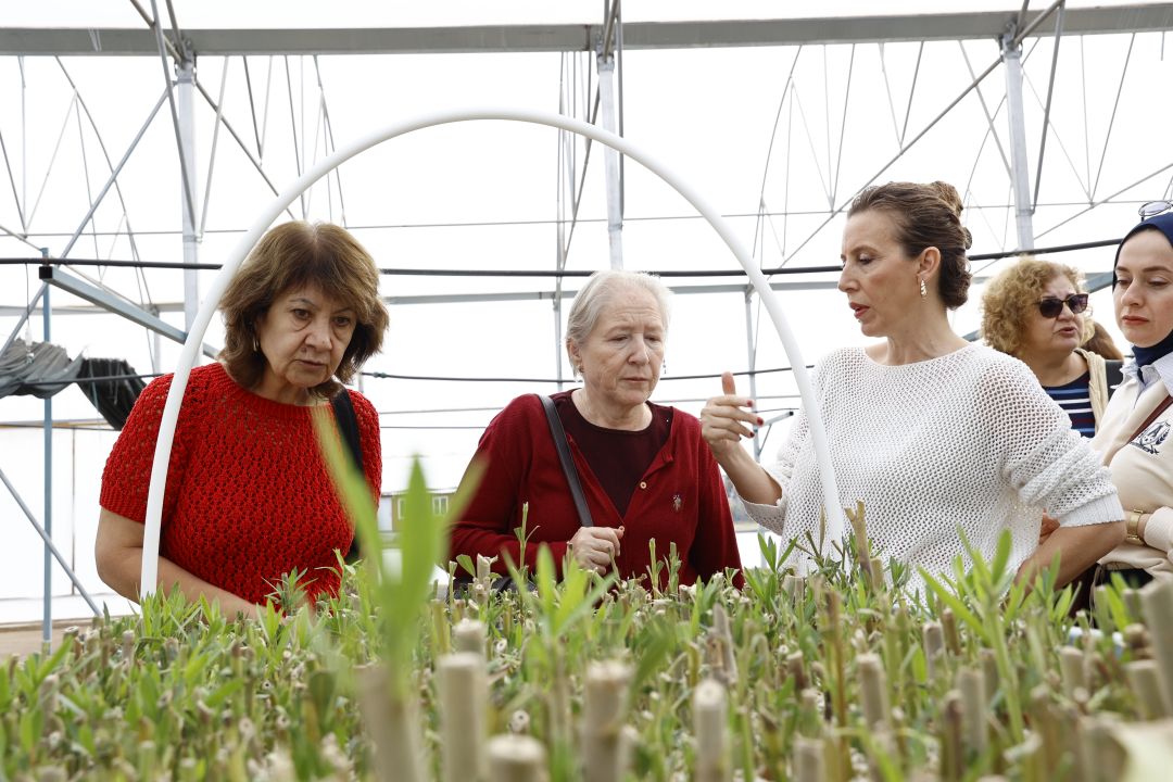 ATASEM kursiyerlerine tarım kampüsünde uygulamalı eğitim