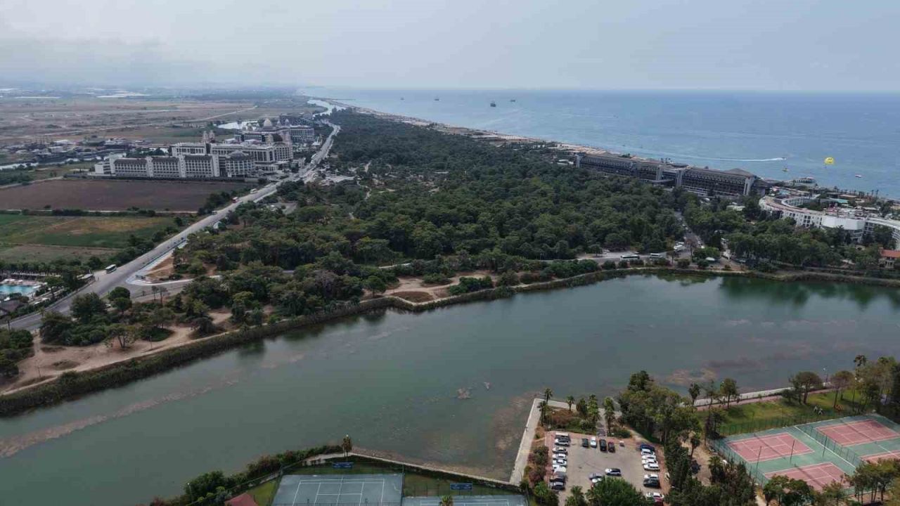 Antalya’da endemik türlere ev sahipliği yapan ormanlık alanlar tel çitle çevrilecek