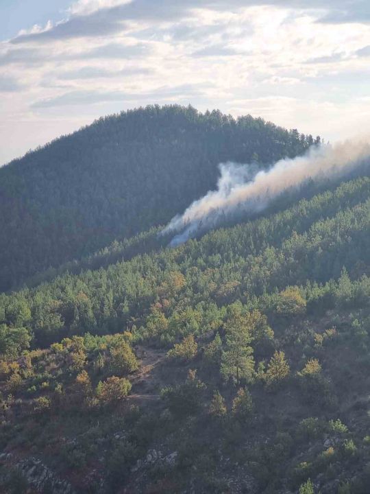 Bozyazı’da orman yangını kontrol altına alındı