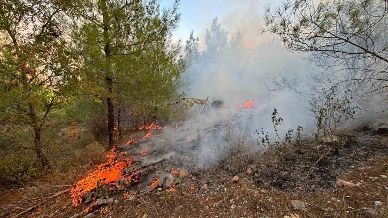 Bozyazı’da orman yangını kontrol altına alındı
