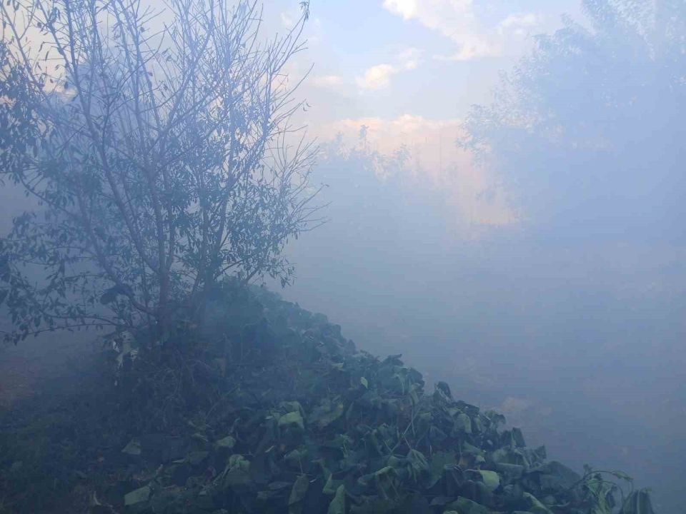 Bozyazı’da çıkan yangın seralara zarar verdi