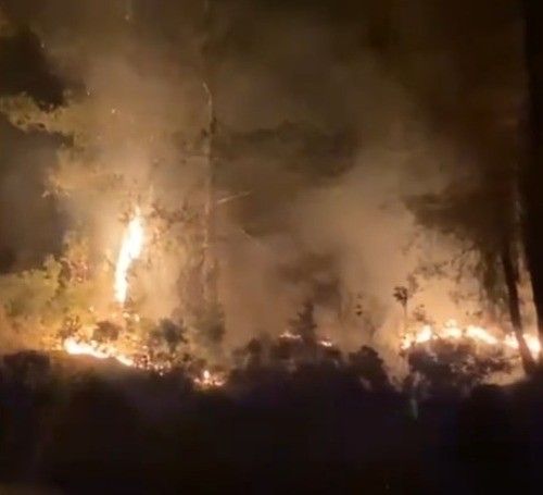 Muğla’da çıkan orman yangını kısa sürede kontrol altına alındı