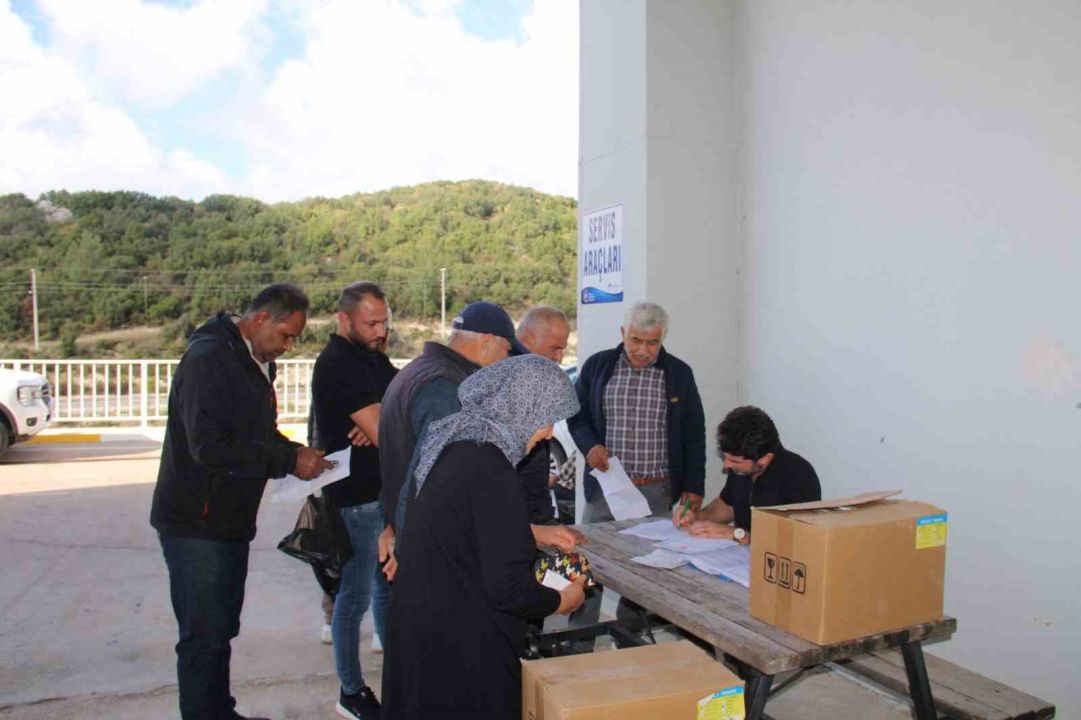 Organik tarıma mavi ve sarı yapışkan tuzak desteği