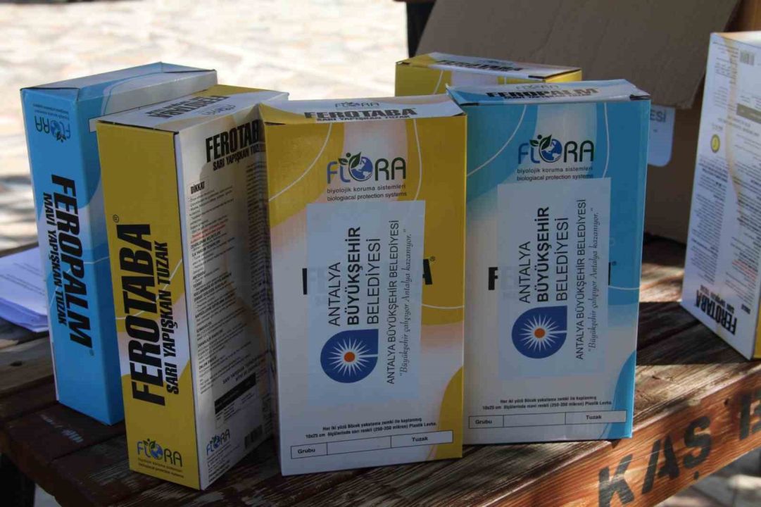 Organik tarıma mavi ve sarı yapışkan tuzak desteği