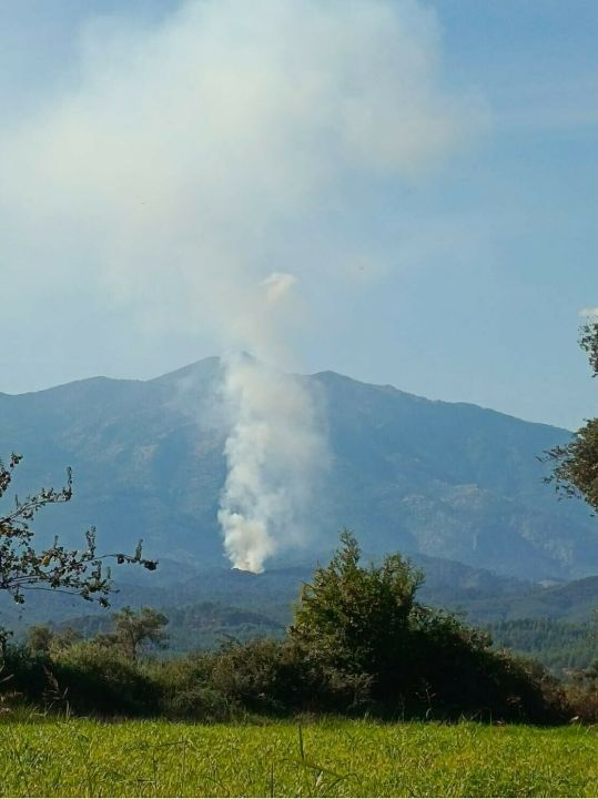 Seydikemer'de orman yangını