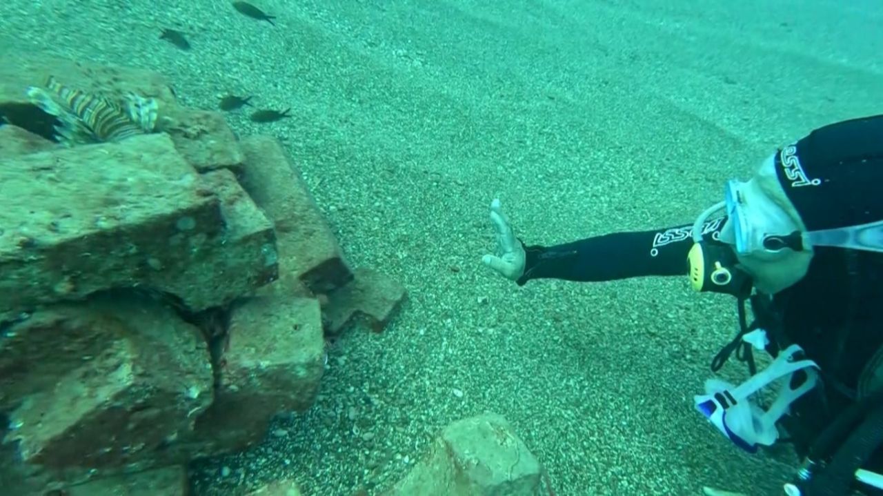 Aslan balıkları ve lagoslar aynı resifte: Deniz altında ilginç gözlem